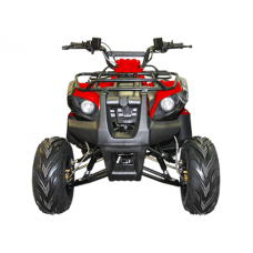 Квадроцикл Irbis ATV 125 Um
